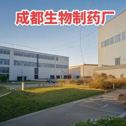 手把手教你完成报名 从准备工作到成功提交